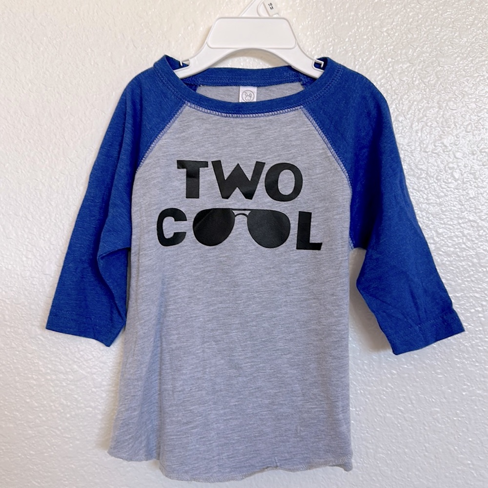 Two Cool Birthday t-shirt and Banner